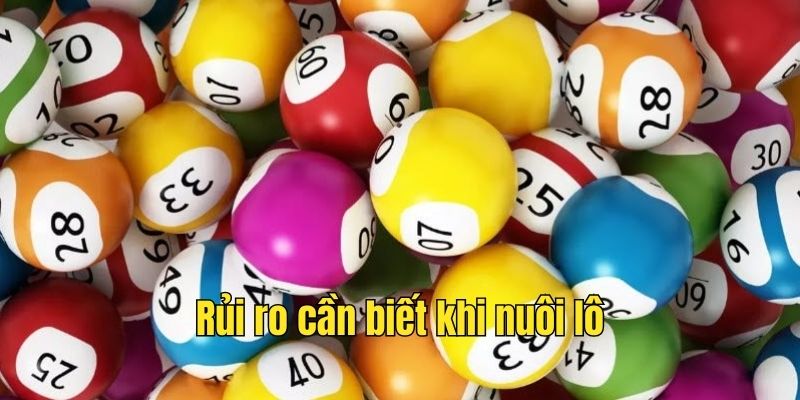 Rủi ro cần biết khi nuôi lô khan